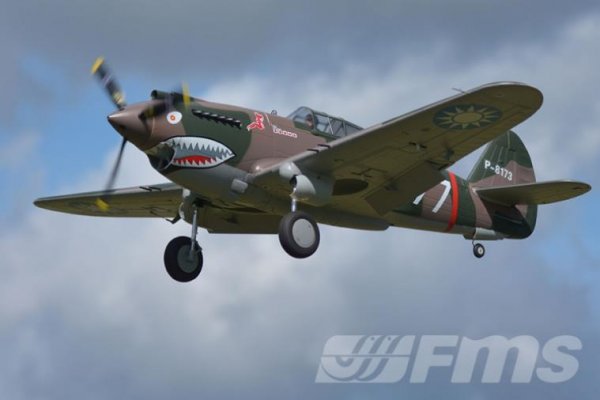 (image for) FMS P-40B 1400mm PNP