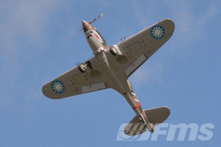 FMS P-40B 1400mm PNP - Click Image to Close