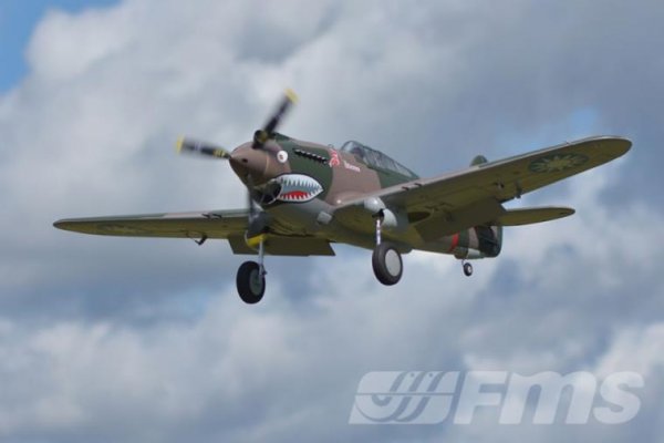(image for) FMS P-40B 1400mm PNP