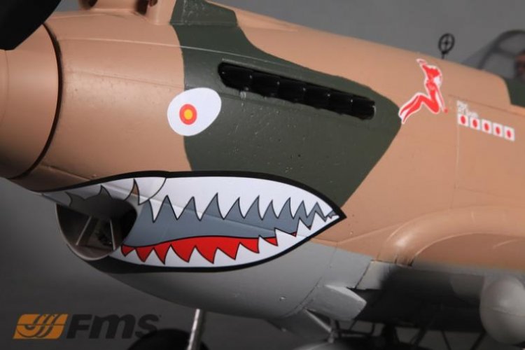 FMS P-40B 1400mm PNP - Click Image to Close