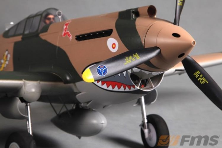 FMS P-40B 1400mm PNP - Click Image to Close